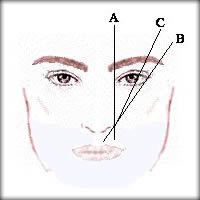 Eye brows