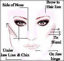 Blush or contour